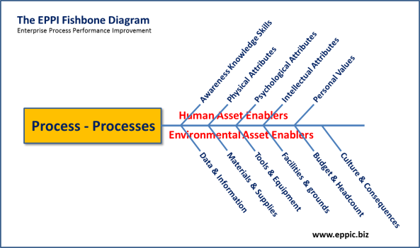 EPPI Fishbone v2012 - 1- The Process